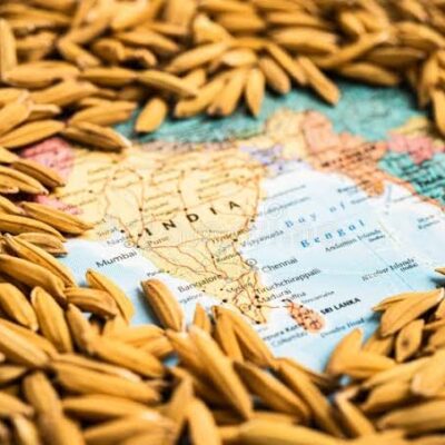 WhatsApp Image 2025-07-24 at 3.30.17 PM (1)